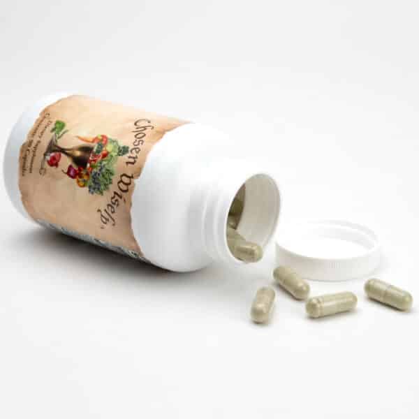 Chosen Wisely Supplement - Image 5